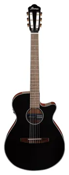 Ibanez AEG50N Black High Gloss