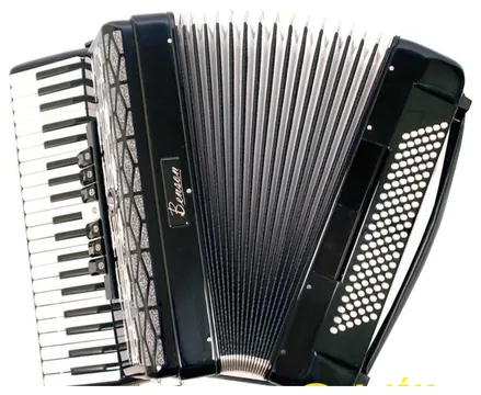Benson Acordeon Benson 120 Baixos BAC120 SBK