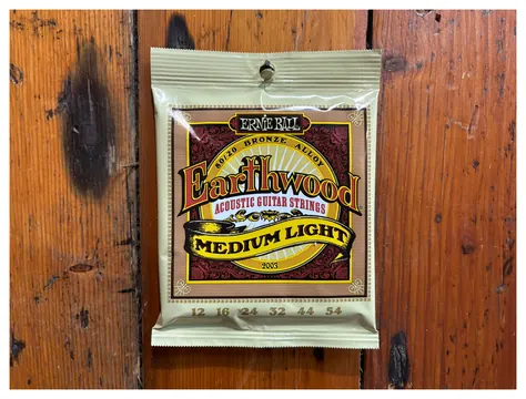 Ernie Ball EarthWood Medium Light 12's 80/20 Bronze