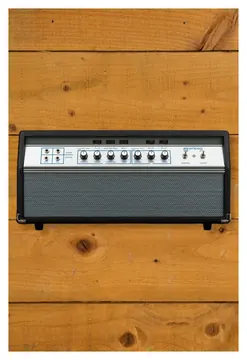Ampeg Heritage 50th Anniversary SVT - Bass Head