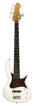 Aria 313 MK2/5 String Detroit Bass