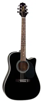 Takamine EG-531C - Takamine
