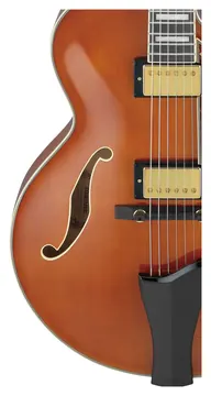 Ibanez AF95 Divine Amber