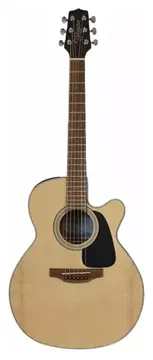 Takamine GX18CE Folk Natural Cordas de Aço com bag