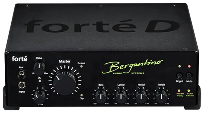 Bergantino Forte Bass Amp Head
