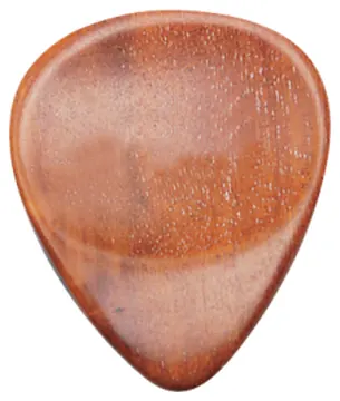 Dugain- Mediator Pernambouc