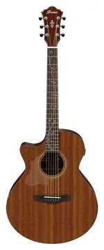 Ibanez AE Series Left Handed Okoume Top Low Gloss