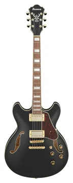 Ibanez AS73G Black Flat
