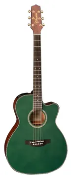 Takamine LTD2025 Acoustic Electric Guitar