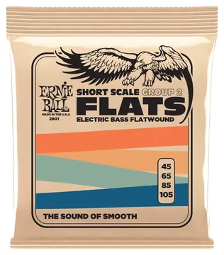 Ernie Ball Bass Flats 2801