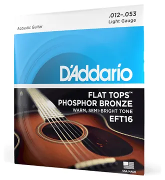 D'Addario EFT16 Phosphor Bronze Flat Top Light Acoustic Guitar Strings 12-53