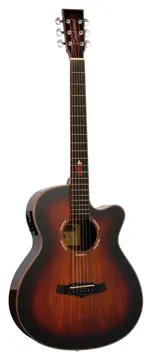 Tanglewood Winterleaf Exotic TWX4CEK