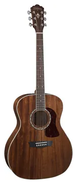 Washburn HG12S Acoustic Guitar
