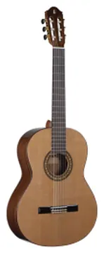 Raimundo R-300