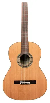 Ortega Traditional 4/4 + Pro Gig Bag