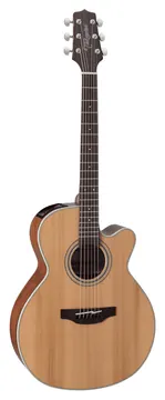 Takamine Gn20Ce Ns Tp4 Td