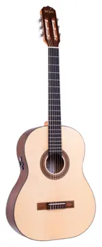 Rozini Elétrico RX210 LP Eq RE02