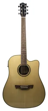 Tagima WS20 NT Eletro Acústico