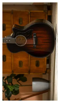 Taylor 524CE Builders Edition Next Generation
