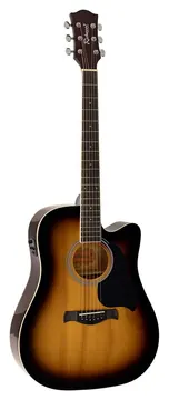 Richwood Artist Series RD-12-CESB acoustic guitar