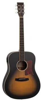 Tanglewood Winterleaf TW11 TS E