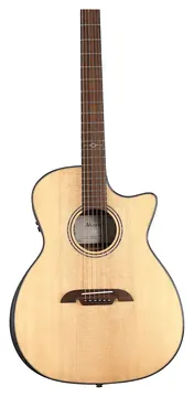 Alvarez Artist Elite AEG70ce Armrest