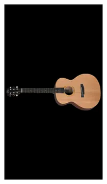 Duke GA-MC Acoustic Guitar (Inc Gigbag)