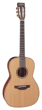 Takamine Japan E P3Ny New Yorker