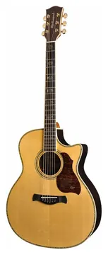 Richwood Master Series G-70-CEVA handmade grand auditorium guitar
