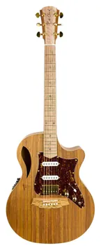 Cole Clark True Hybrid HSS Thinline All Blackwood