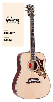 Gibson Doves In Flight Antique Natural CS MC