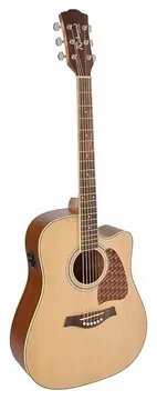 Richwood RD-16-CE Artist Series Natural Chitarra Elettroacustica