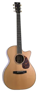 Furch Vintage 2 Orchestra Cut Electro Sr Lrb1