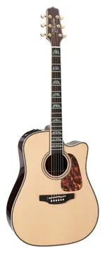 Takamine Dreadnought Cutaway Elettro P10DC