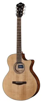 Ibanez AE275BT-LGS
