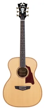 D'Angelico Premier Tammany Natural