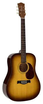Richwood Heritage Series HSD-40-HB dreadnought guitar with solid spruce top
