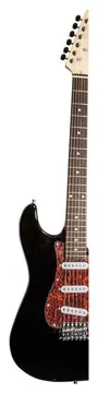 Michael Strato Standard GM217N BT Black Tortoise