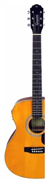 Giannini Perform GAD Plus Eletroacústico Aço Natural Glossy