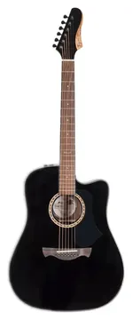Tagima Cutaway Spruce Swell - Tagima