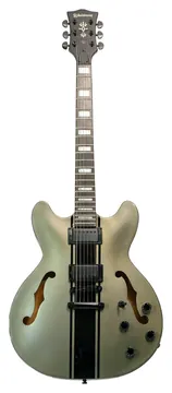 Waldman GHO220S GP Semi Hollow Prata