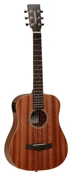 Tanglewood TW2TE