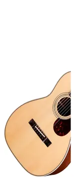 Eastman E20P Thermo-Cure - truetone gloss natural