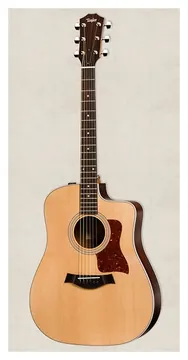 Taylor 210ce