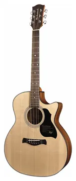 Richwood G40CE Westerngitaar met Element
