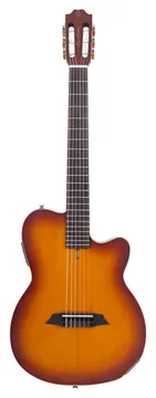 Sire Larry Carlton G5N Ts.S Tabak Sunburst