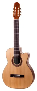 Rozini Rx207At Premium 7C Cutaway