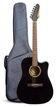 Tagima Swell BK Deluxe Folk Aço Preto C/ Bag