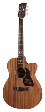 Richwood Master Series A-50-CE handmade auditorium OOO guitar