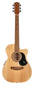 Maton Performer